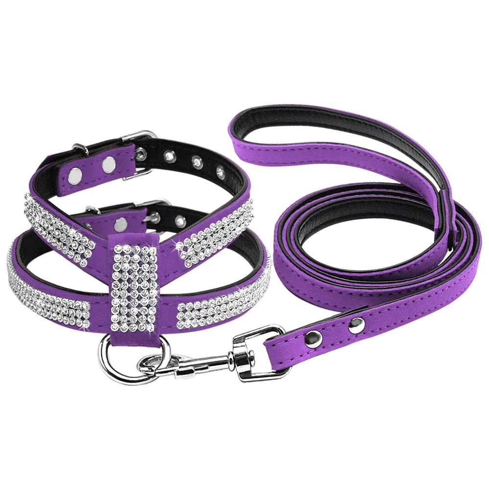 Rhinestone Leather Pet Harness & Leash Set
