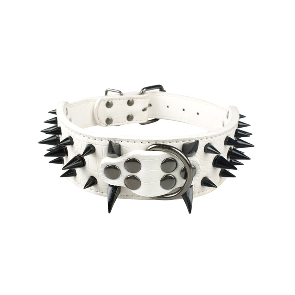 Bold & Durable Studded Spike Training Dog Collar