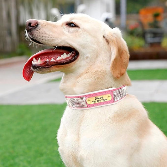 Soft Velvet Custom Dog Bling Collars with Warm Lining